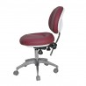 RS-06 Taburete Dental