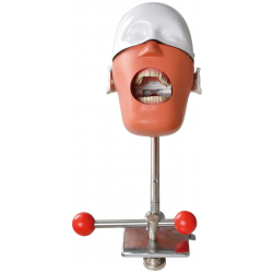 Fantoma Dental Conexión Libre
