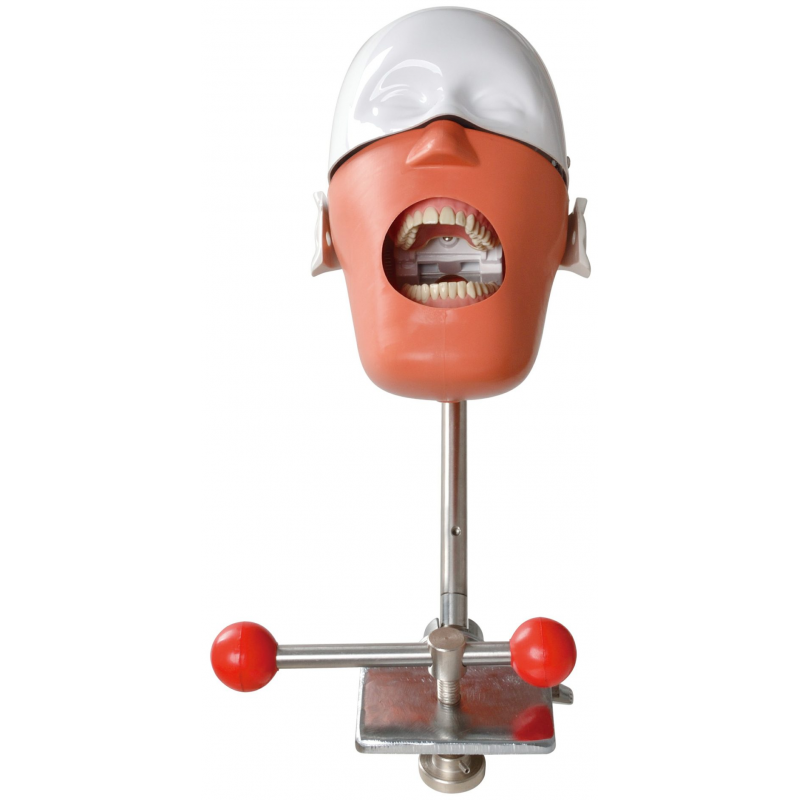 Fantoma Dental Conexión Libre