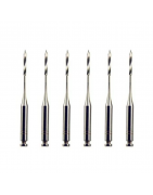 Endodoncia